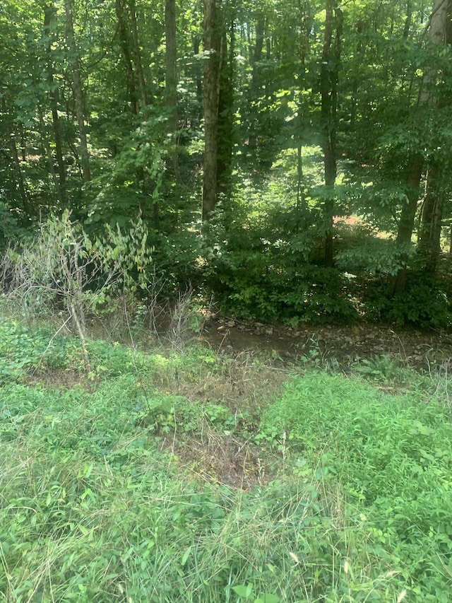 5 Dogwood Ct, Dickson, TN 37055 - photo 1