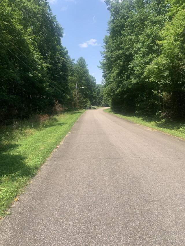 5 Dogwood Ct, Dickson, TN 37055 - photo 3