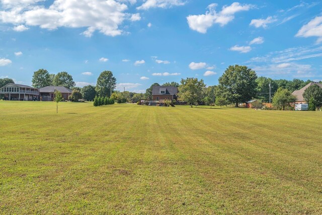 5950 Clarksville Pike, Joelton, TN 37080 - view of green lawn