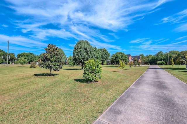 5950 Clarksville Pike, Joelton, TN 37080 - view of street
