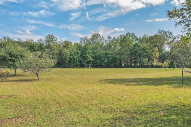 5950 Clarksville Pike, Joelton, TN 37080 - view of grassy yard