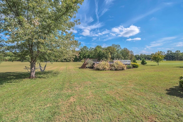 5950 Clarksville Pike, Joelton, TN 37080 - view of green lawn