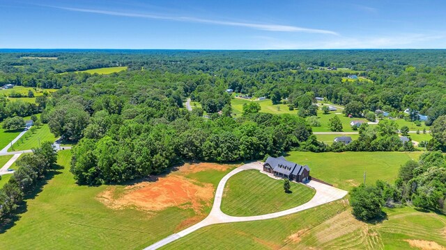 152 Camaro Dr, Chapmansboro, TN 37035 - bird's eye view of a forest