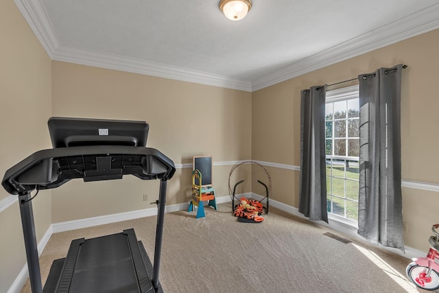 161 Graystone Dr, Gallatin, TN 37066 - exercise room featuring carpet, crown molding, and baseboards
