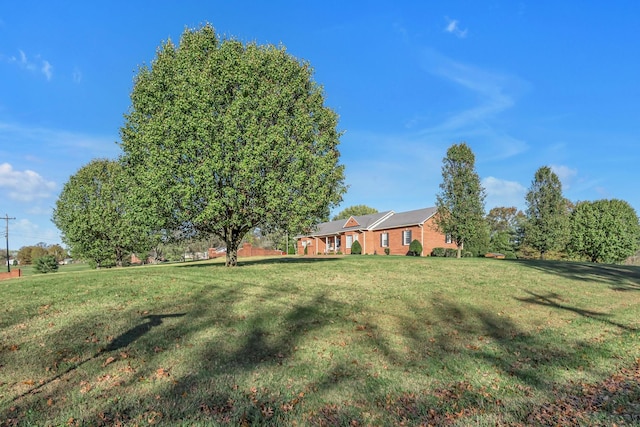 161 Graystone Dr, Gallatin, TN 37066 - view of grassy yard
