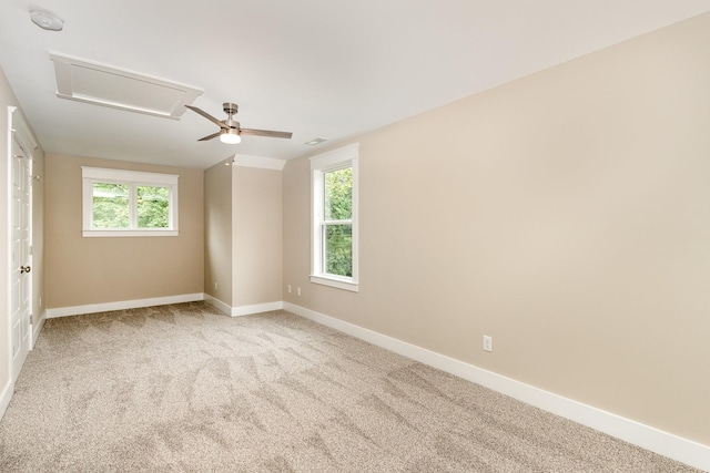 1120 Taylor Town Rd, White Bluff, TN 37187 - photo 18