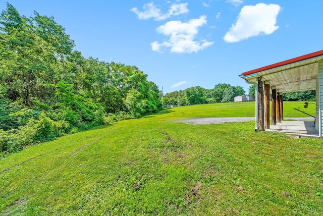 154 Crains Landing Rd, Dover, TN 37058 - view of green lawn