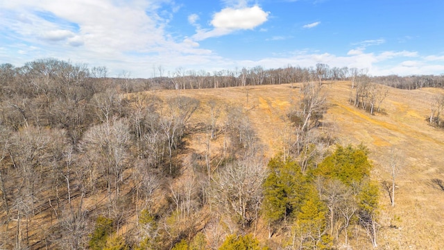 1244 E Jefferson St, Pulaski, TN 38478