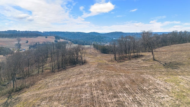 1244 E Jefferson St, Pulaski, TN 38478