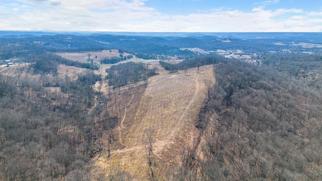 1244 E Jefferson St, Pulaski, TN 38478