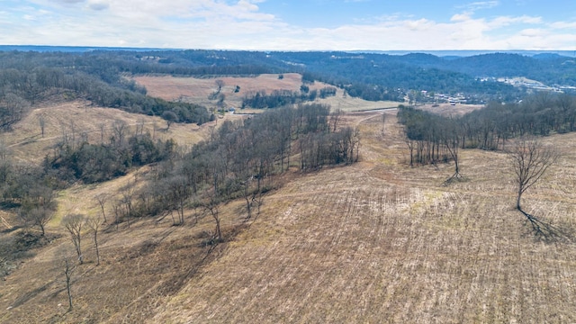 1244 E Jefferson St, Pulaski, TN 38478