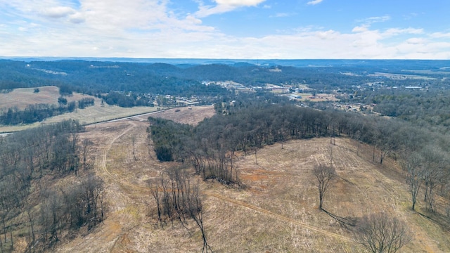 1244 E Jefferson St, Pulaski, TN 38478