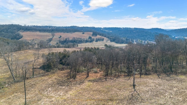 1244 E Jefferson St, Pulaski, TN 38478