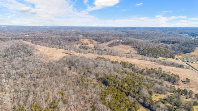 1244 E Jefferson St, Pulaski, TN 38478