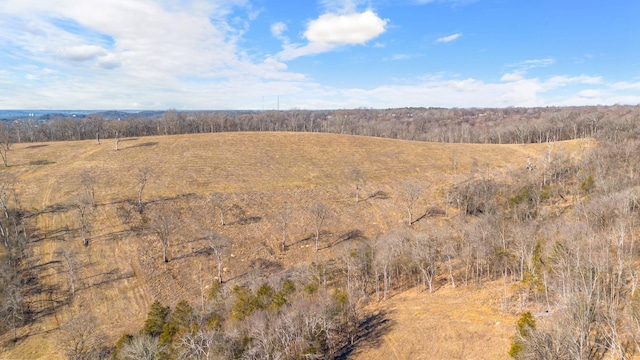 1244 E Jefferson St, Pulaski, TN 38478