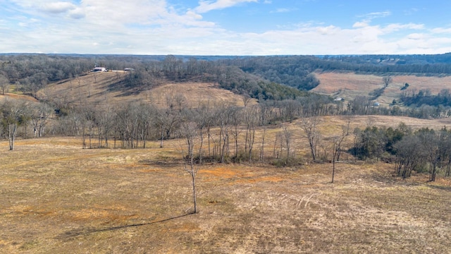 1244 E Jefferson St, Pulaski, TN 38478
