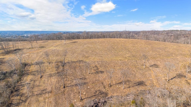 1244 E Jefferson St, Pulaski, TN 38478