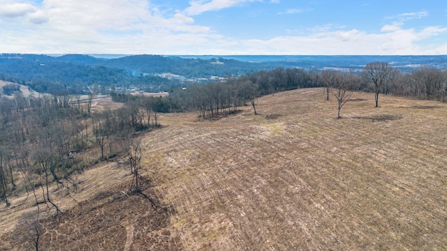 1244 E Jefferson St, Pulaski, TN 38478