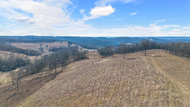 1244 E Jefferson St, Pulaski, TN 38478