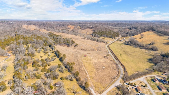 1244 E Jefferson St, Pulaski, TN 38478