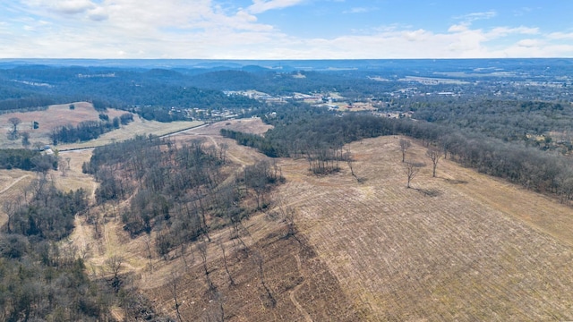 1244 E Jefferson St, Pulaski, TN 38478