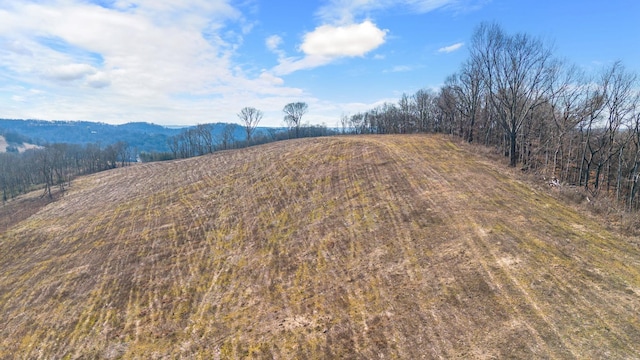 1244 E Jefferson St, Pulaski, TN 38478