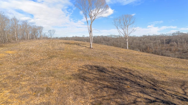 1244 E Jefferson St, Pulaski, TN 38478