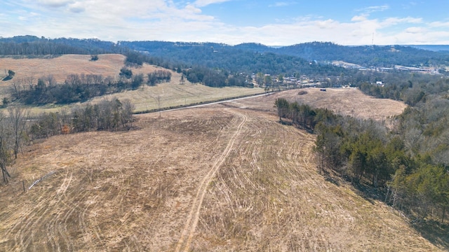 1244 E Jefferson St, Pulaski, TN 38478