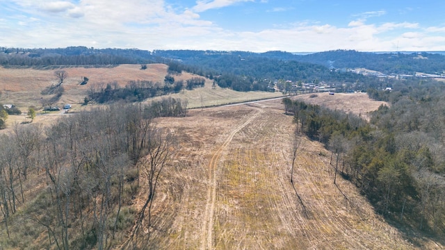 1244 E Jefferson St, Pulaski, TN 38478