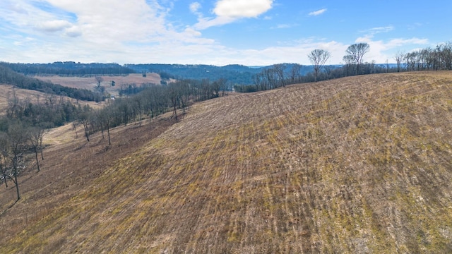 1244 E Jefferson St, Pulaski, TN 38478