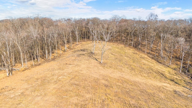 1244 E Jefferson St, Pulaski, TN 38478