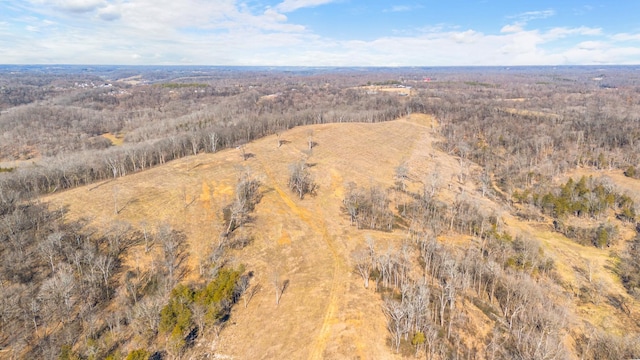 1244 E Jefferson St, Pulaski, TN 38478
