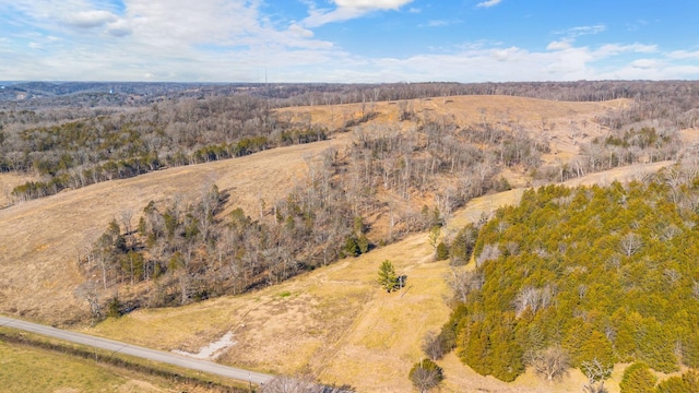 1244 E Jefferson St, Pulaski, TN 38478