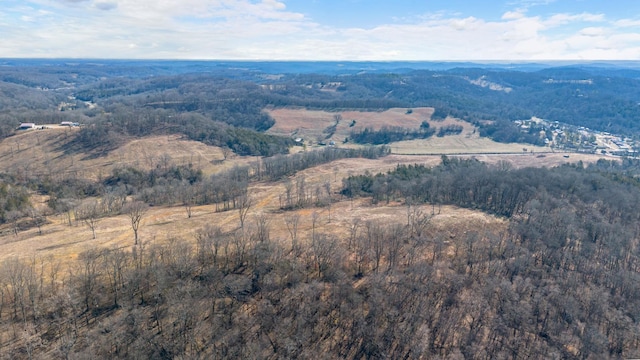 1244 E Jefferson St, Pulaski, TN 38478