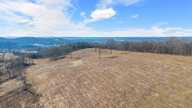 1244 E Jefferson St, Pulaski, TN 38478