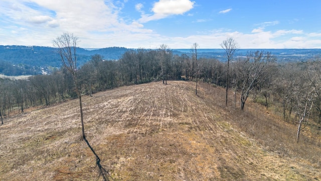 1244 E Jefferson St, Pulaski, TN 38478