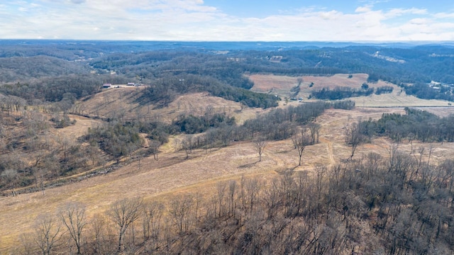 1244 E Jefferson St, Pulaski, TN 38478