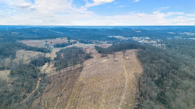 1244 E Jefferson St, Pulaski, TN 38478