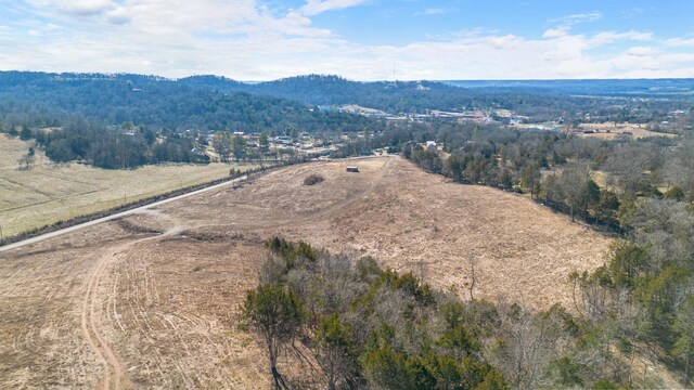 1244 E Jefferson St, Pulaski, TN 38478