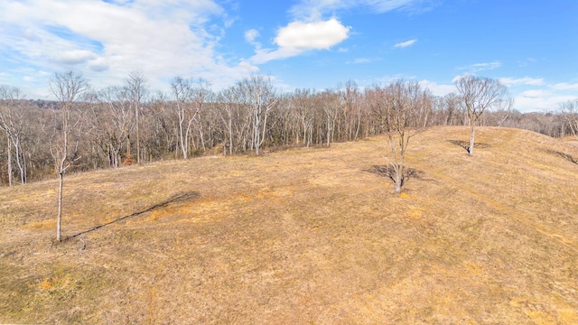 1244 E Jefferson St, Pulaski, TN 38478