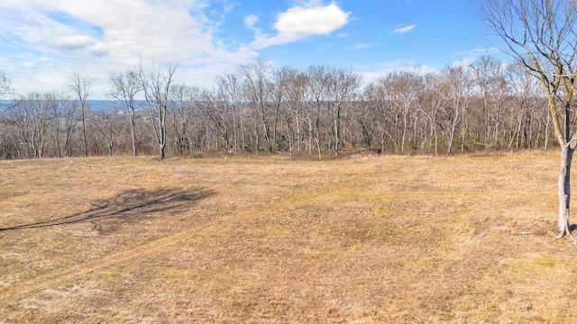 1244 E Jefferson St, Pulaski, TN 38478