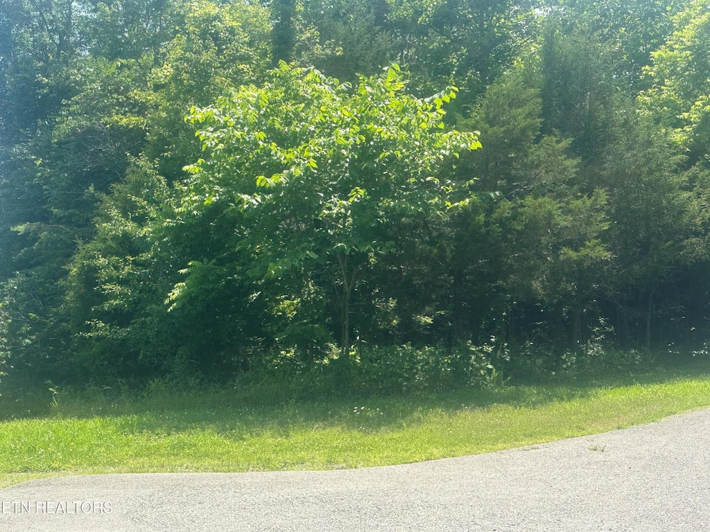 0 Spring Ln, Philadelphia, TN 37846 - photo 4