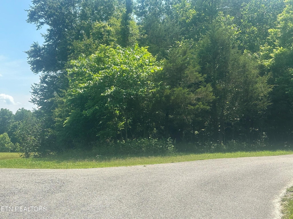 0 Spring Ln, Philadelphia, TN 37846 - photo 3