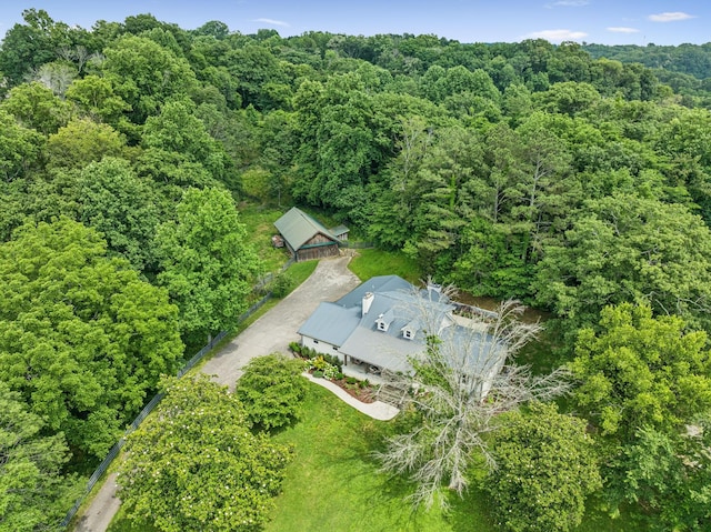 3348 Sweeney Hollow Rd, Franklin, TN 37064 - view of subject property featuring a forest