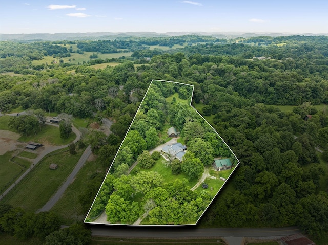 3348 Sweeney Hollow Rd, Franklin, TN 37064 - aerial view of property and surrounding area featuring property parcel outlined