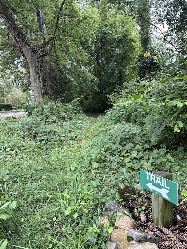 2915 Compton Rd, Nashville, TN 37215 - view of local wilderness