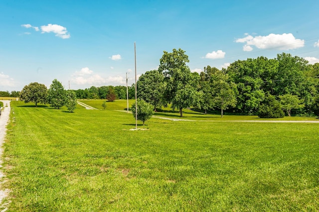 128 Old Fountain Head Rd, Portland, TN 37148 - photo 31