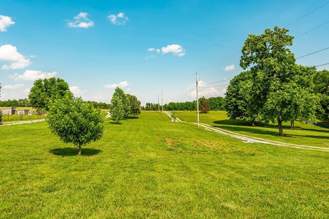 128 Old Fountain Head Rd, Portland, TN 37148 - photo 32