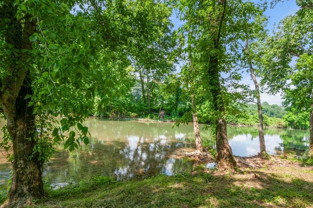 811 Borum Rd, Ashland City, TN 37015 - photo 49