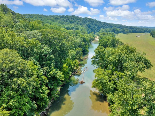 811 Borum Rd, Ashland City, TN 37015 - photo 44